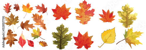 High-quality watercolor seamless pattern featuring vibrant autumn leaves set against a pristine white background. 