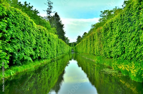 green alley at oliwa park gdansk