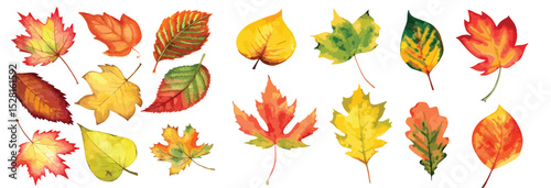 High-quality watercolor seamless pattern featuring vibrant autumn leaves set against a pristine white background. 