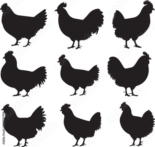 Chicken Icon on  Black Button with White Rollover