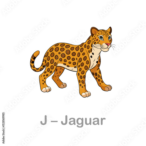 Jaguar vector illustration, cartoon clipart character, animal in flat style. Jaguar flashcard for kids. Wild animals. Vector