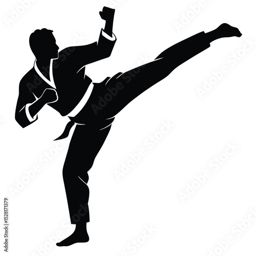 Silhouette of a martial artist performing a powerful high kick