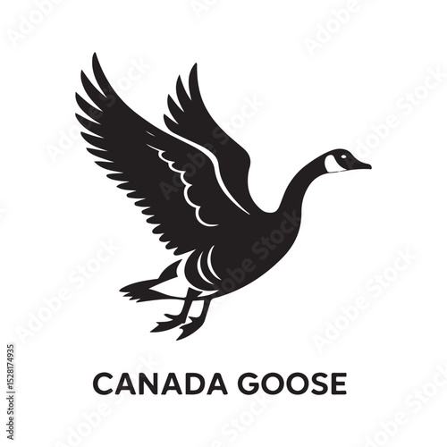 Canada goose. Vector black silhouette. with white background