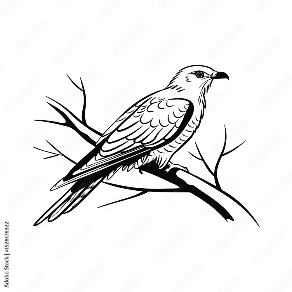Fototapeta premium silhouette of bird isolated on white background