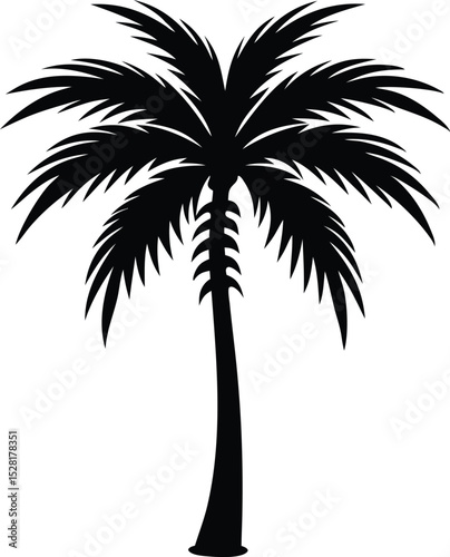 palm tree silhouette