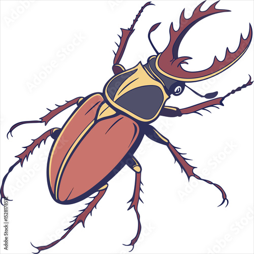 vector illustration of a bug insect