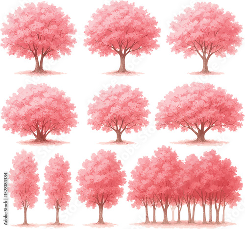 Realistic Cherry Blossom Watercolors