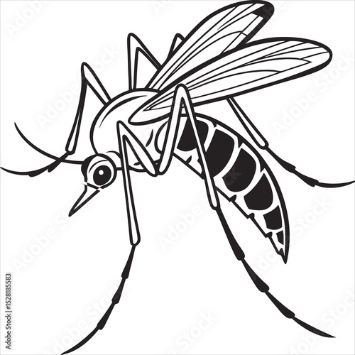 mosquito vector