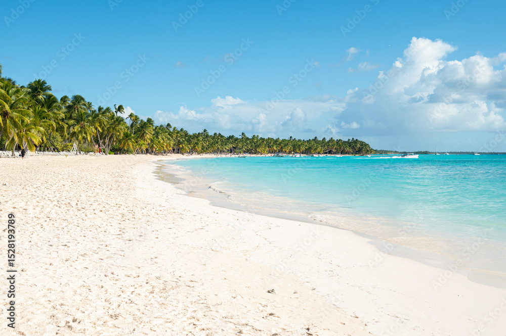 Beach landscape in the Dominican Republic, Saona Island Beach landscape in the Dominican Republic, Saona Island
