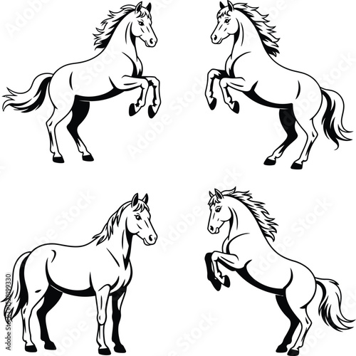 Four majestic horse illustrations in black and white, showcasing different poses and perspectives