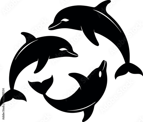 dolphin isolated on white background