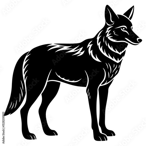 A black silhouette of a coyote is isolated on white background