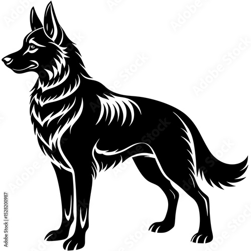 A german shepherd dog stands in profile, isolated on white background