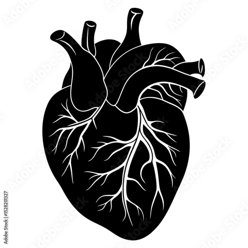 A black silhouette of a human heart isolated on white background