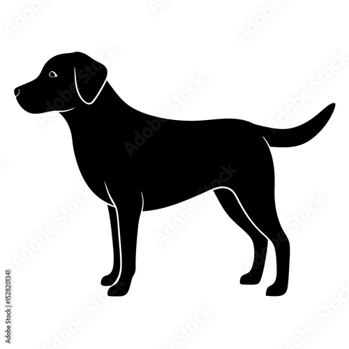 Black labrador silhouette isolated on white background