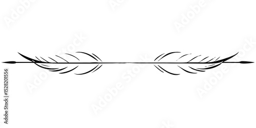 Vignette for text divider on transparent background featuring two feathers  