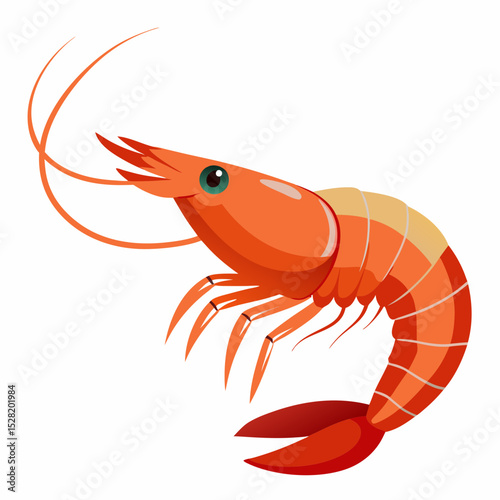 An illustration of a red shrimp isolated on white background
