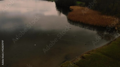 Lake with wild water birds in English Winter drone aerial 