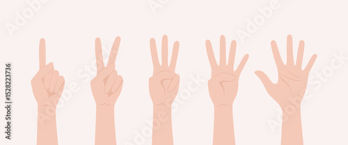 Set of hands showing numbers from one to five with fingers. Flat vector illustration