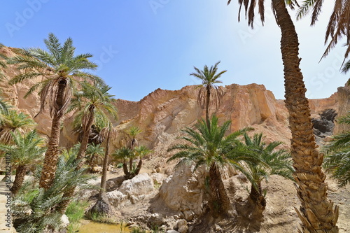Chebika Oasis, a Hidden Paradise in the Harsh Desert Landscape of Tunisia