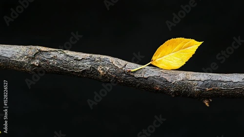 A vibrant yellow leaf resting on a textured branch against a dark background, symbolizing change