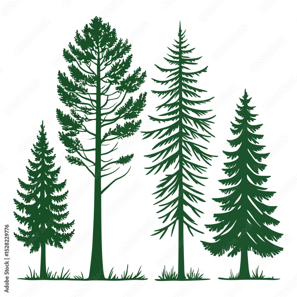 Obraz premium Set of four green pine tree silhouettes