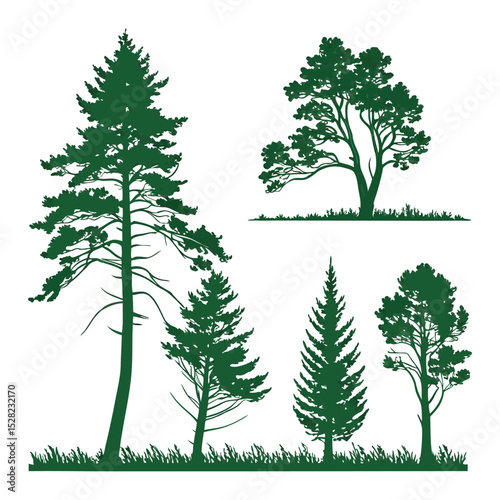 Collection of Evergreen Tree Silhouettes Pines, Firs, and More