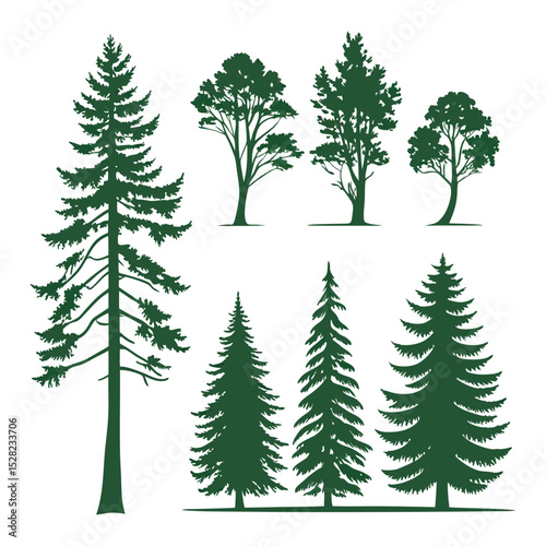 Collection of Evergreen and Deciduous Tree Silhouettes Nature Illustrations for Design Projects