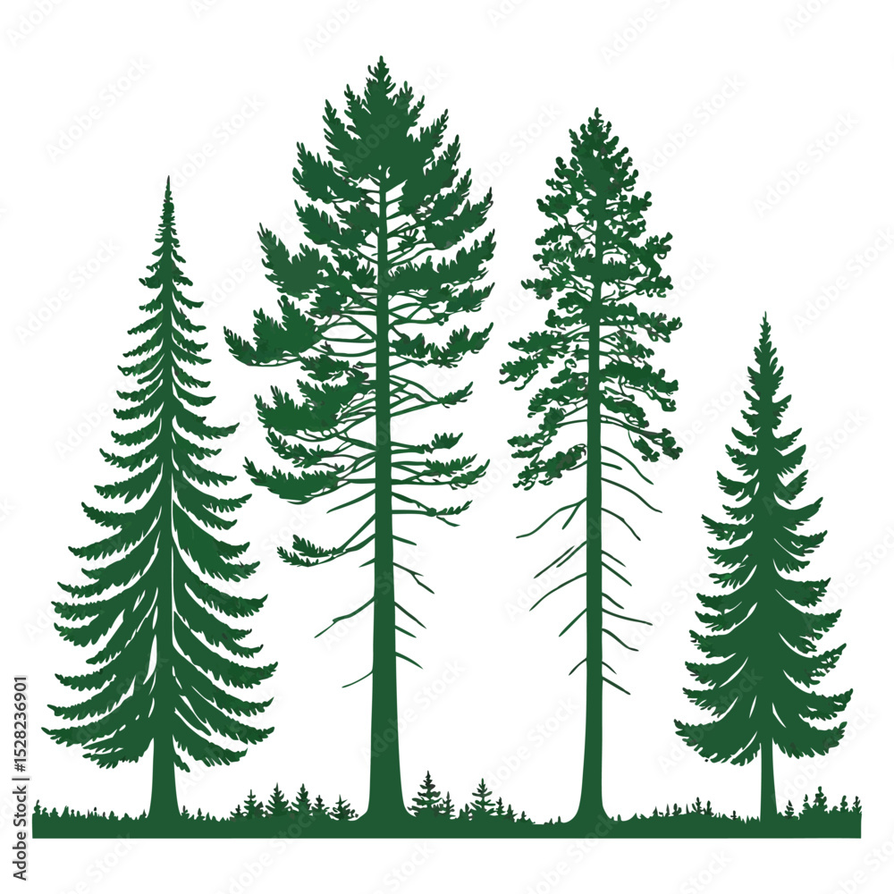 Obraz premium Set of four green pine tree silhouettes on white background