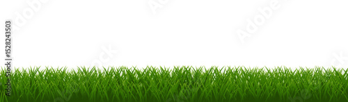 green grass background