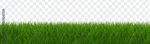 Green Grass Isolated And White Background