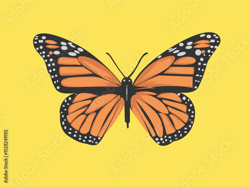 Beautiful flying butterfly vector illustration