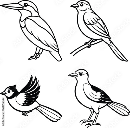Long-tailed Kingfisher Bird
Kingfisher Indian Three Toed Kingfisher Bird
Coloring Book and Woodland Kingfisher
