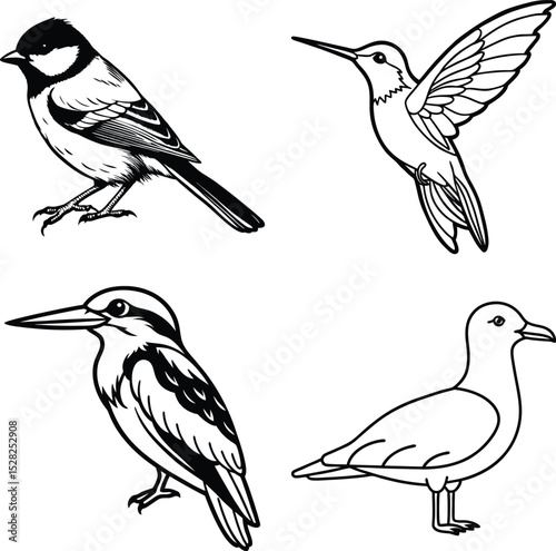 Long-tailed Kingfisher Bird
Kingfisher Indian Three Toed Kingfisher Bird
Coloring Book and Woodland Kingfisher
