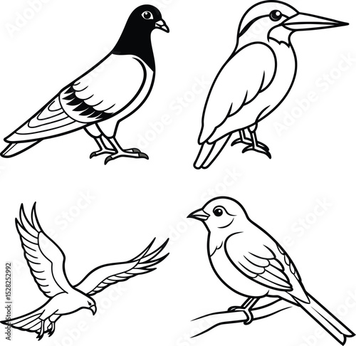 Long-tailed Kingfisher Bird
Kingfisher Indian Three Toed Kingfisher Bird
Coloring Book and Woodland Kingfisher
