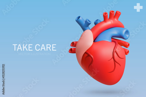 3D rendering of a Heart anatomy on a blue background.