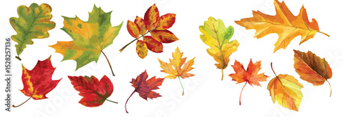 High-quality watercolor seamless pattern featuring vibrant autumn leaves set against a pristine white background. 
