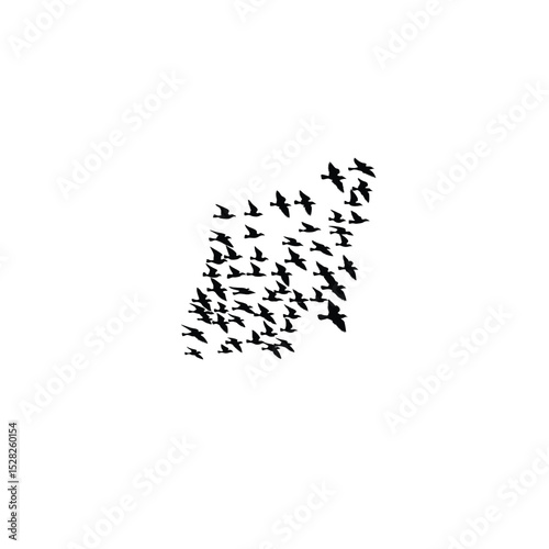 A flock of sparrows silhouetted against the morning sun on white background