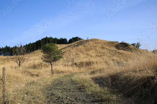 兵庫県神河町　砥峰高原の風景