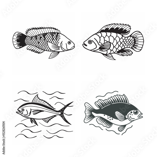 line art of marine fish on the white background