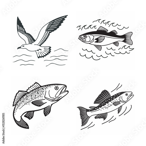 line art of marine fish on the white background