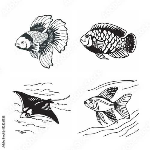 line art of marine fish on the white background