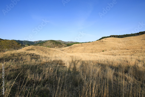 兵庫県神河町　砥峰高原の風景