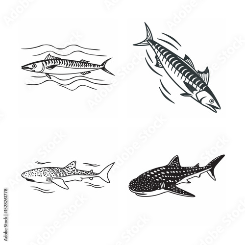 line art of marine fish on the white background