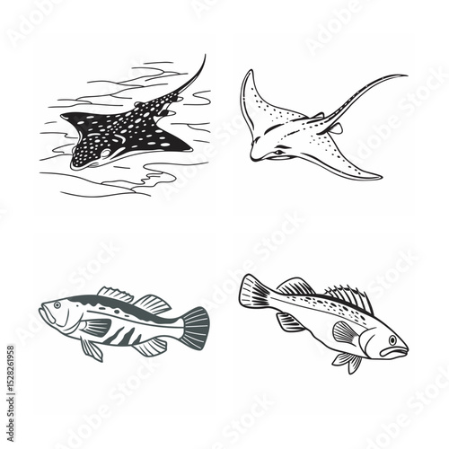 line art of marine fish on the white background