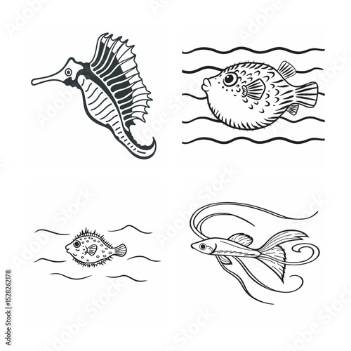 line art of marine fish on the white background