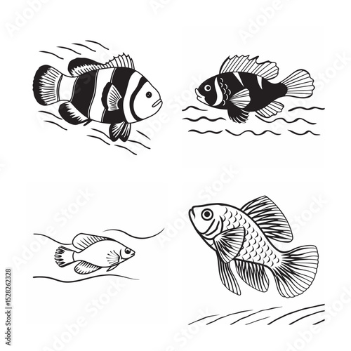 line art of marine fish on the white background