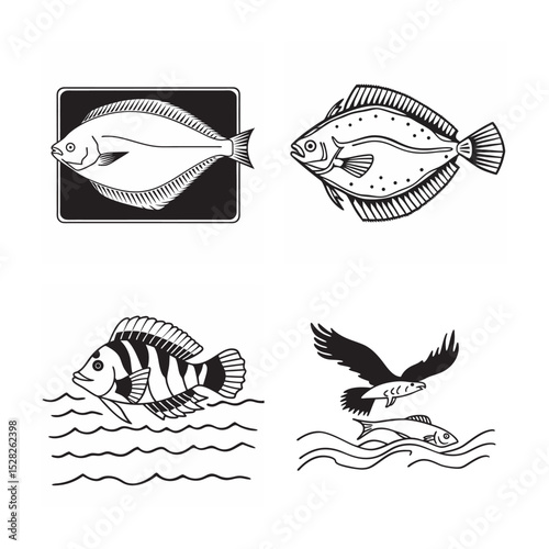 line art of marine fish on the white background