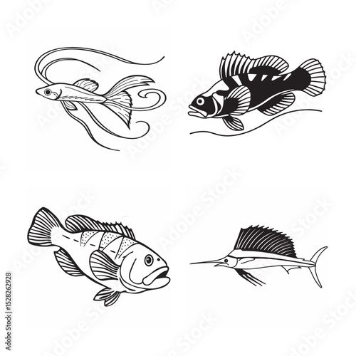 line art of marine fish on the white background
