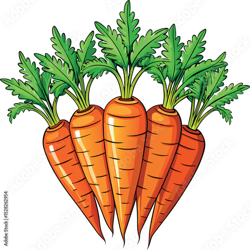 carrots vector art and illustrations 